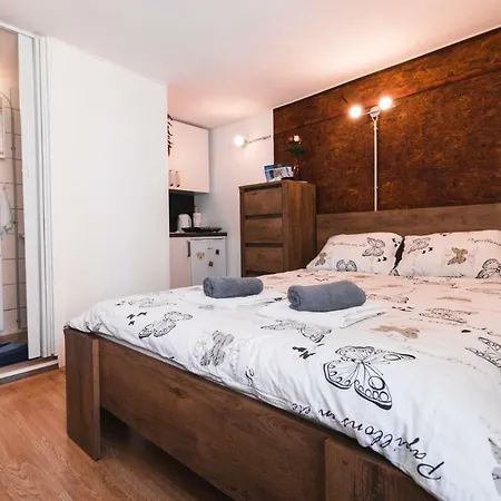 شقة Apartma Remi بيران