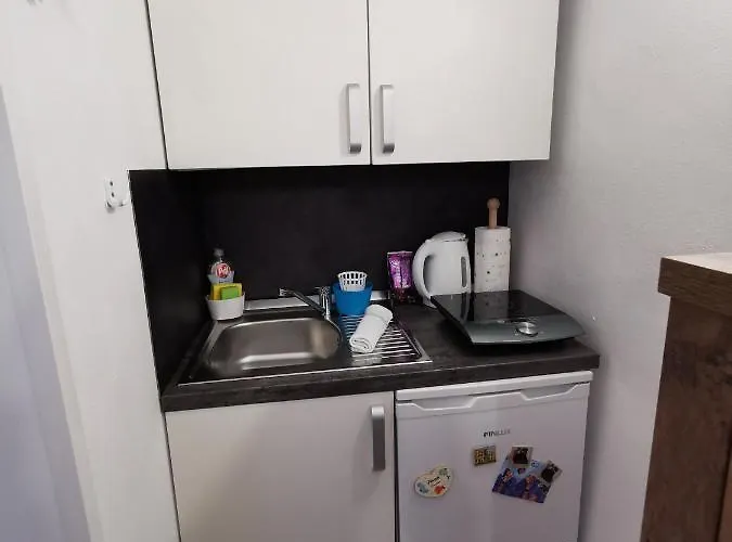 아파트 Apartma Remi 피란