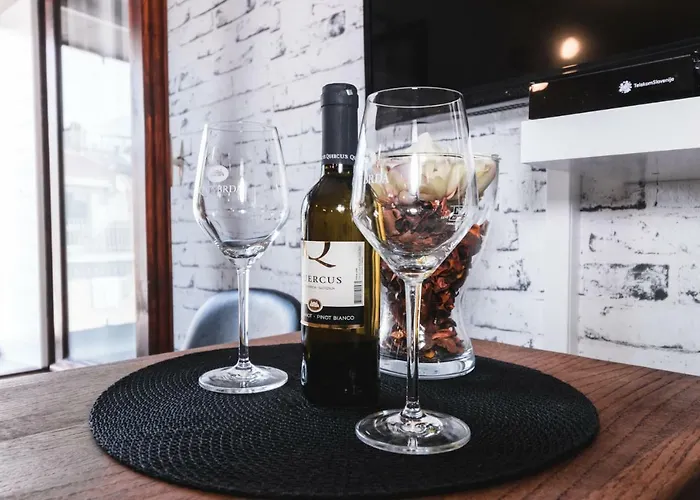 Apartma Remi 公寓 *