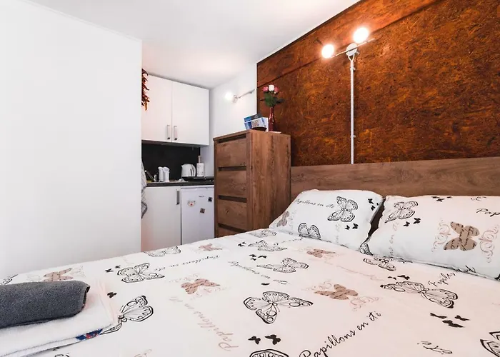 公寓 Apartma Remi 皮兰