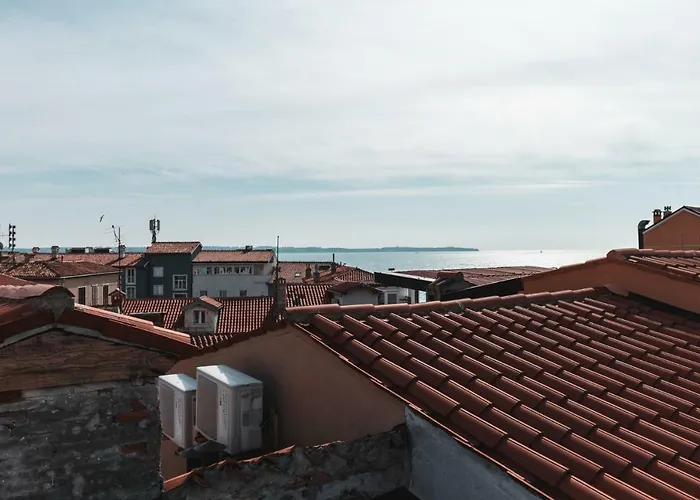 公寓 Apartma Remi *